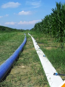 Acquafert Divisione Agri Microirrigazione a goccia