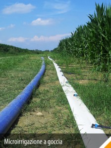 Acquafert Divisione Agri Microirrigazione a goccia
