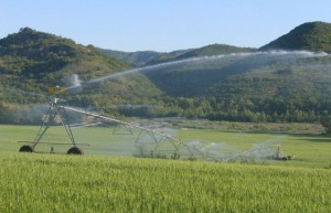 Acquafert irrigazione su terreno con dislivello