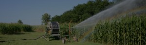 Acquafert irrigazione a pioggia