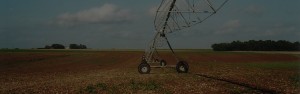 Acquafert pivot e irrigazione a torri semoventi