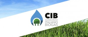 Acquafert Consorzio italiano biogas