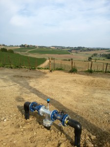 Acquafert Subirrigazione vite foto 3