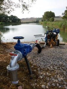 Acquafert Subirrigazione vite foto 4