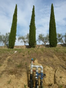 Acquafert Subirrigazione vite foto 7