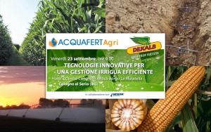 Tecnologie innovative per una gestione irrigua efficiente