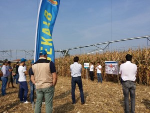 Giornata in campo
